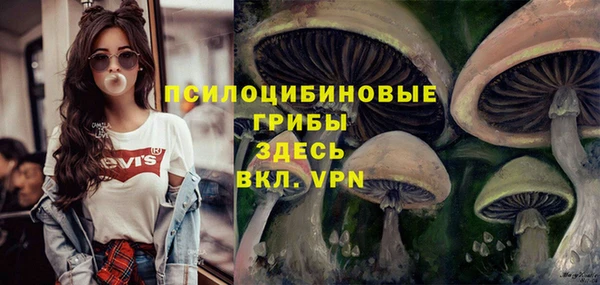 Альфа ПВП Беломорск