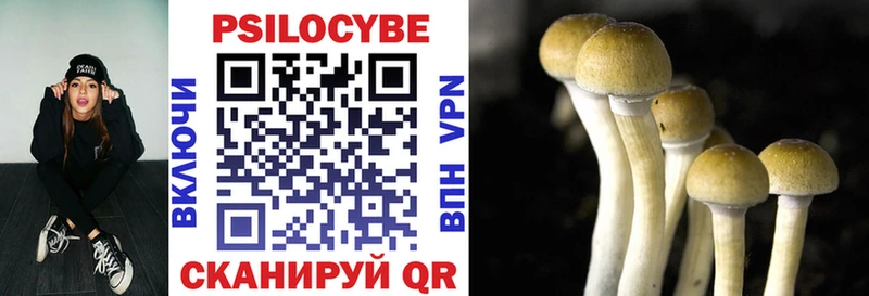 мориарти клад  Красный Сулин  Галлюциногенные грибы Psilocybe 